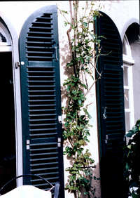 Apoyo para Enredaderas  - con la tcnica de