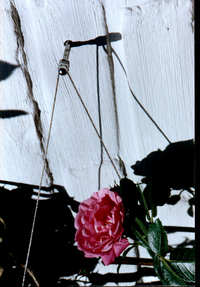 Tornillo duplo M6x90 mm - accesorio Apoyo para Enredaderas