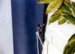 Kit completo toldo vertical - Rayas de bloco azul-blanco #9