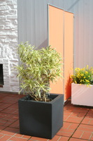 Biombo - 1 elemento - color terracotta #9