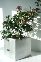 Biombo - 3 elementos - color terracotta #10