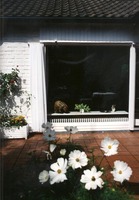 Tela de bala - ancho 146 cm - unicolor gris claro #13