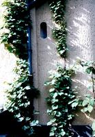 Apoyo para Enredaderas  - con la tcnica de #13