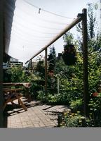 Bild #2 zu Sonnenschutz, Sichtschutz, Windschutz - Planungshilfen