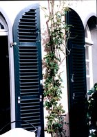 Bild #5 zu Sonnenschutz, Sichtschutz, Windschutz - Planungshilfen