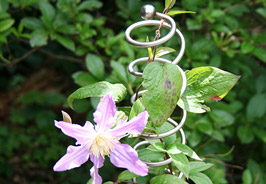 Espalderas y varillas ornamentales de acero inoxidable